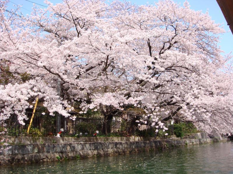 The B Kyoto Sanjo 호텔 외부 사진